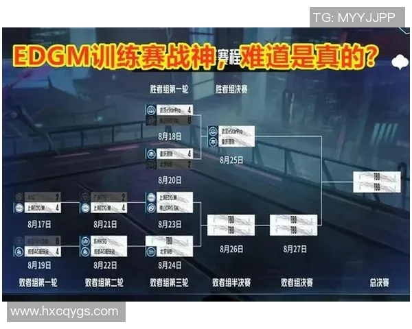深入解析EDG在王者荣耀中的战术布局与电竞比分的影响